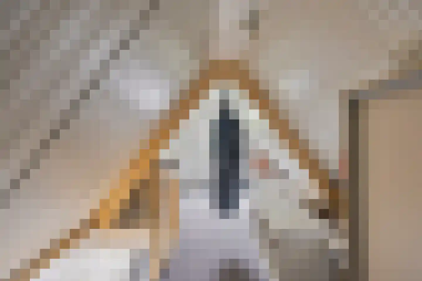Tjaskerstraat 42 Kootwijkerbroek thumbnail 32