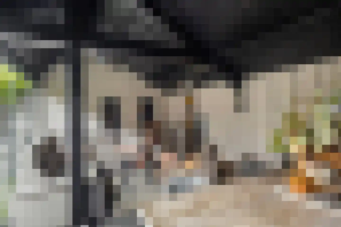 Tjaskerstraat 42 Kootwijkerbroek thumbnail 37