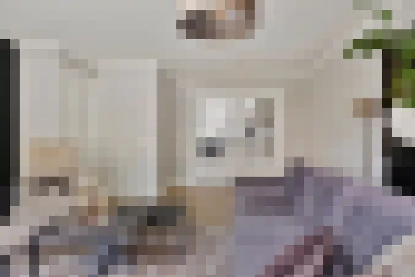 Tjaskerstraat 42 Kootwijkerbroek thumbnail 8