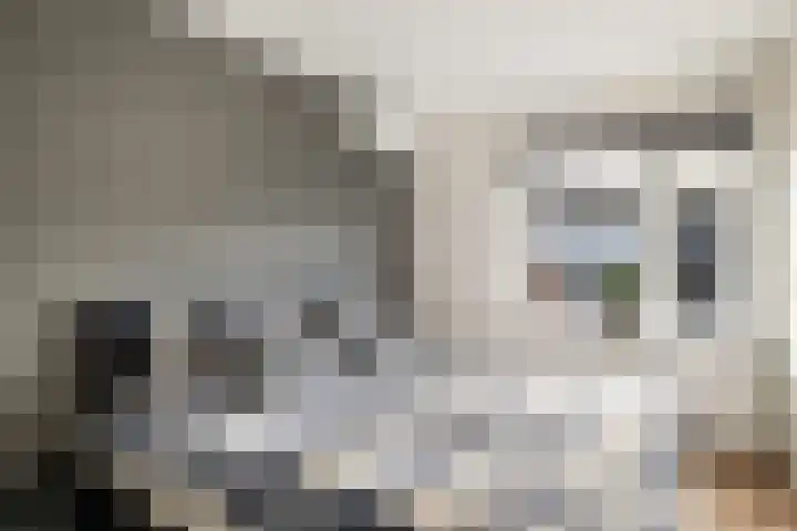 Tjaskerstraat 6 Kootwijkerbroek thumbnail 17