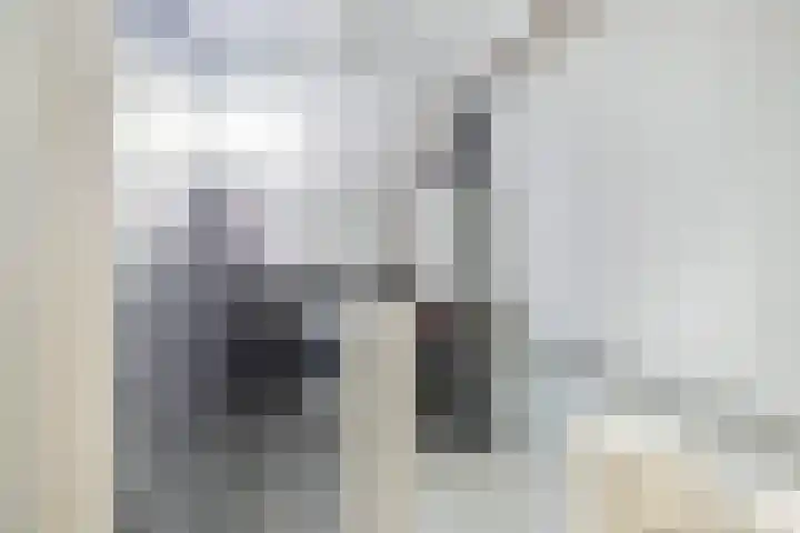 Tjaskerstraat 6 Kootwijkerbroek thumbnail 25
