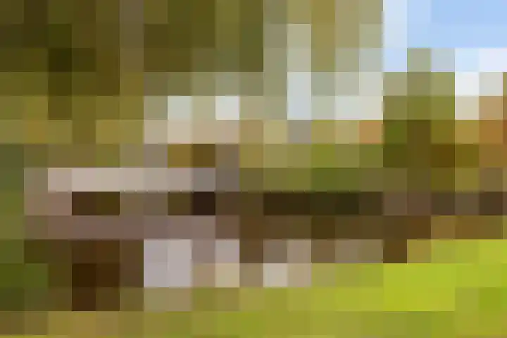 Tjaskerstraat 6 Kootwijkerbroek thumbnail 33