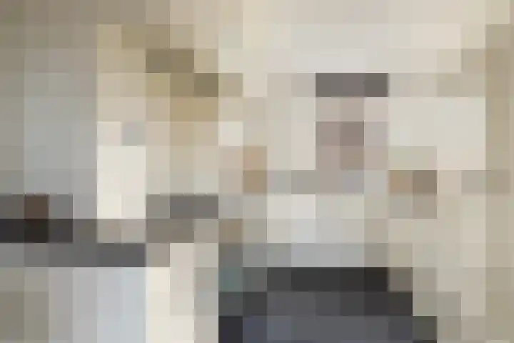 Tjaskerstraat 6 Kootwijkerbroek thumbnail 4