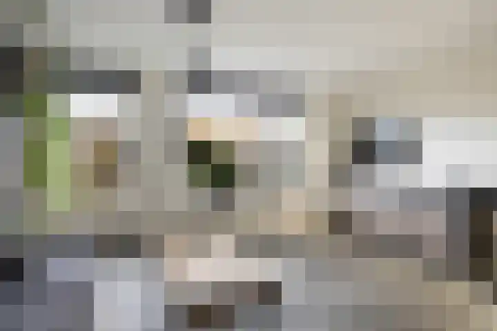 Tjaskerstraat 6 Kootwijkerbroek thumbnail 8