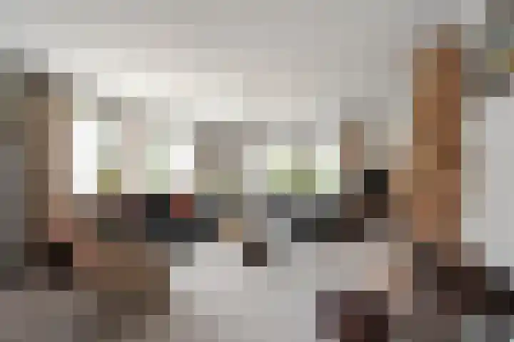 Tjatting 1 Hippolytushoef thumbnail 11