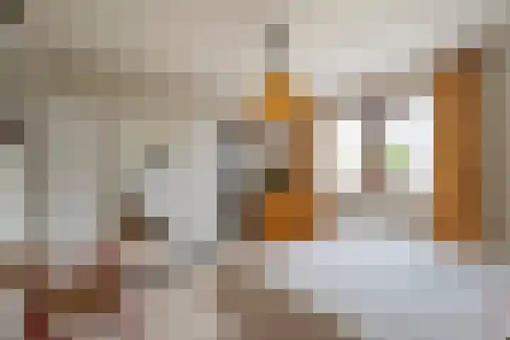 Tjatting 1 Hippolytushoef thumbnail 21