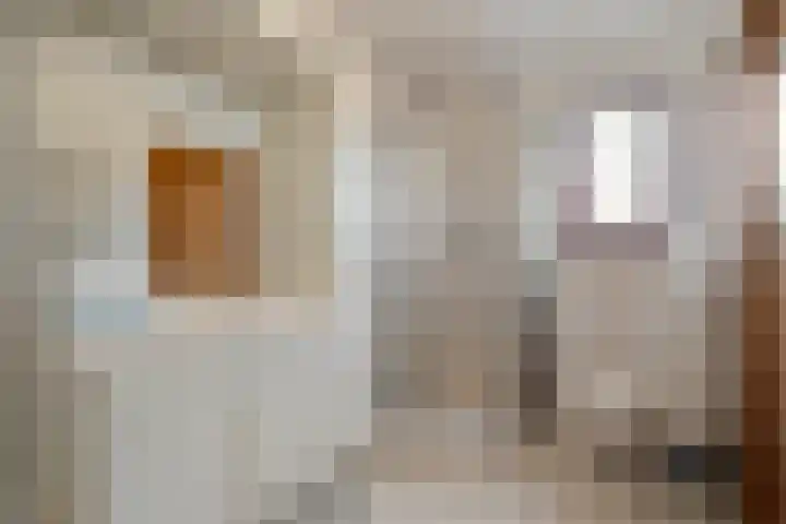 Tjatting 1 Hippolytushoef thumbnail 22