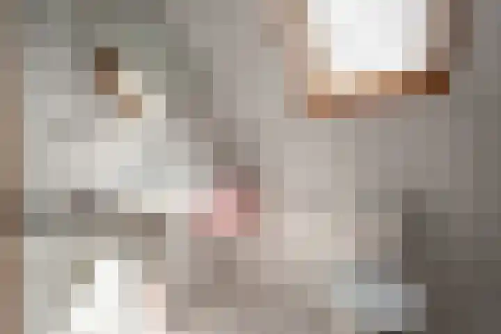 Tjatting 1 Hippolytushoef thumbnail 28
