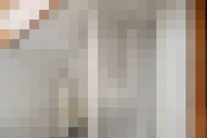 Tjatting 1 Hippolytushoef thumbnail 29
