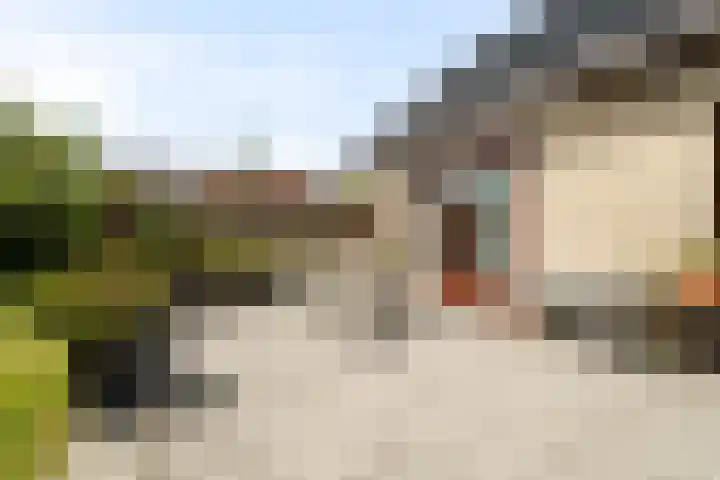 Tjatting 1 Hippolytushoef thumbnail 30