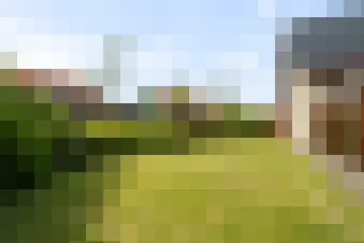 Tjatting 1 Hippolytushoef thumbnail 32