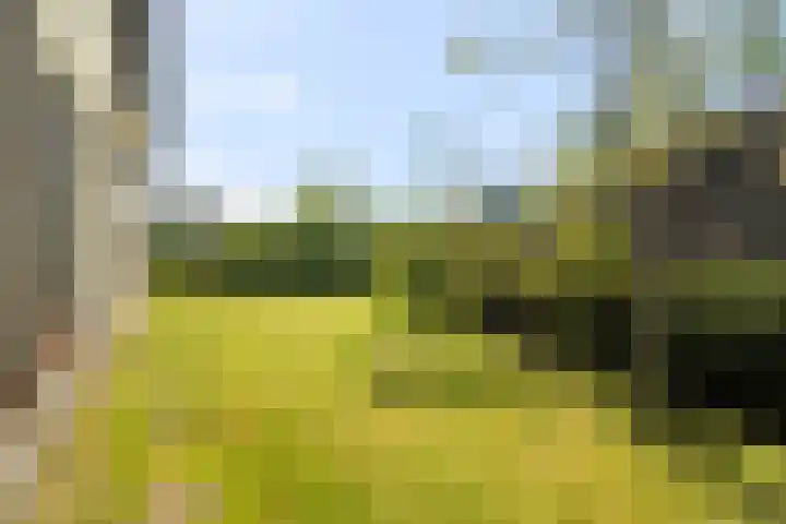 Tjatting 1 Hippolytushoef thumbnail 33