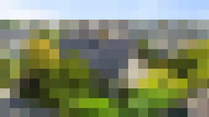 Tjatting 1 Hippolytushoef thumbnail 5