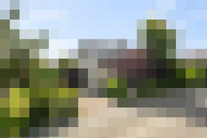Tjatting 1 Hippolytushoef thumbnail 6