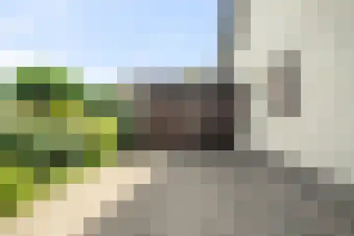 Tjatting 1 Hippolytushoef thumbnail 7