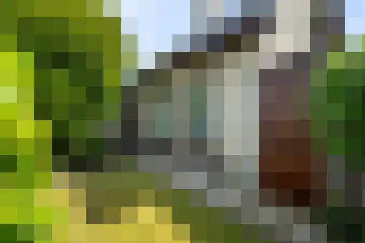 Tjatting 1 Hippolytushoef thumbnail 8