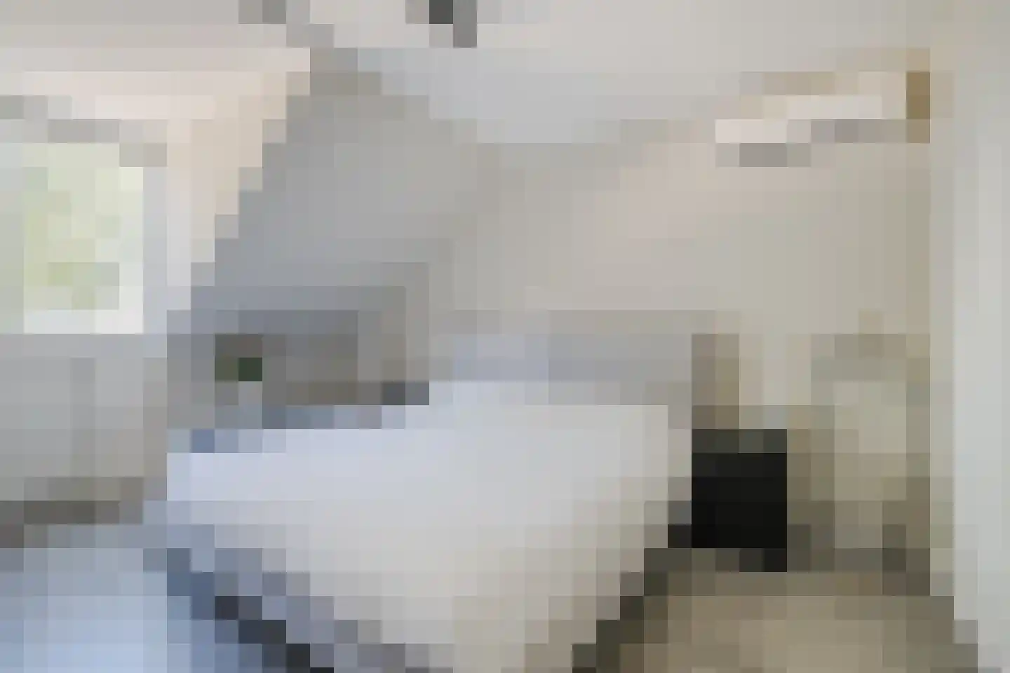 Tjatting 10 Hippolytushoef thumbnail 19