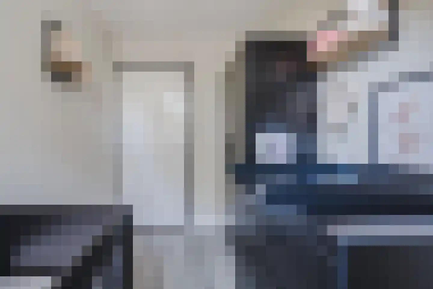 Tjatting 10 Hippolytushoef thumbnail 23