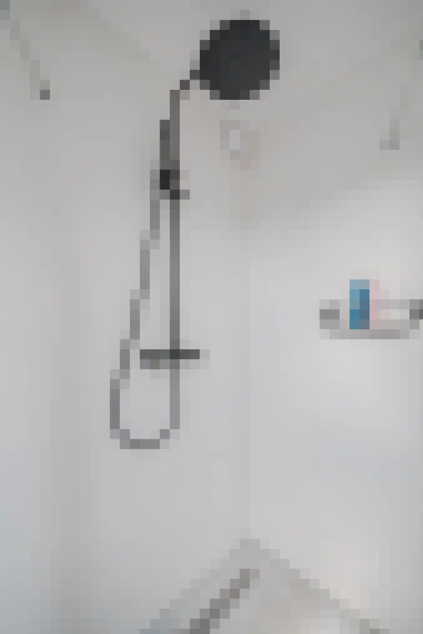 Tjatting 10 Hippolytushoef thumbnail 29