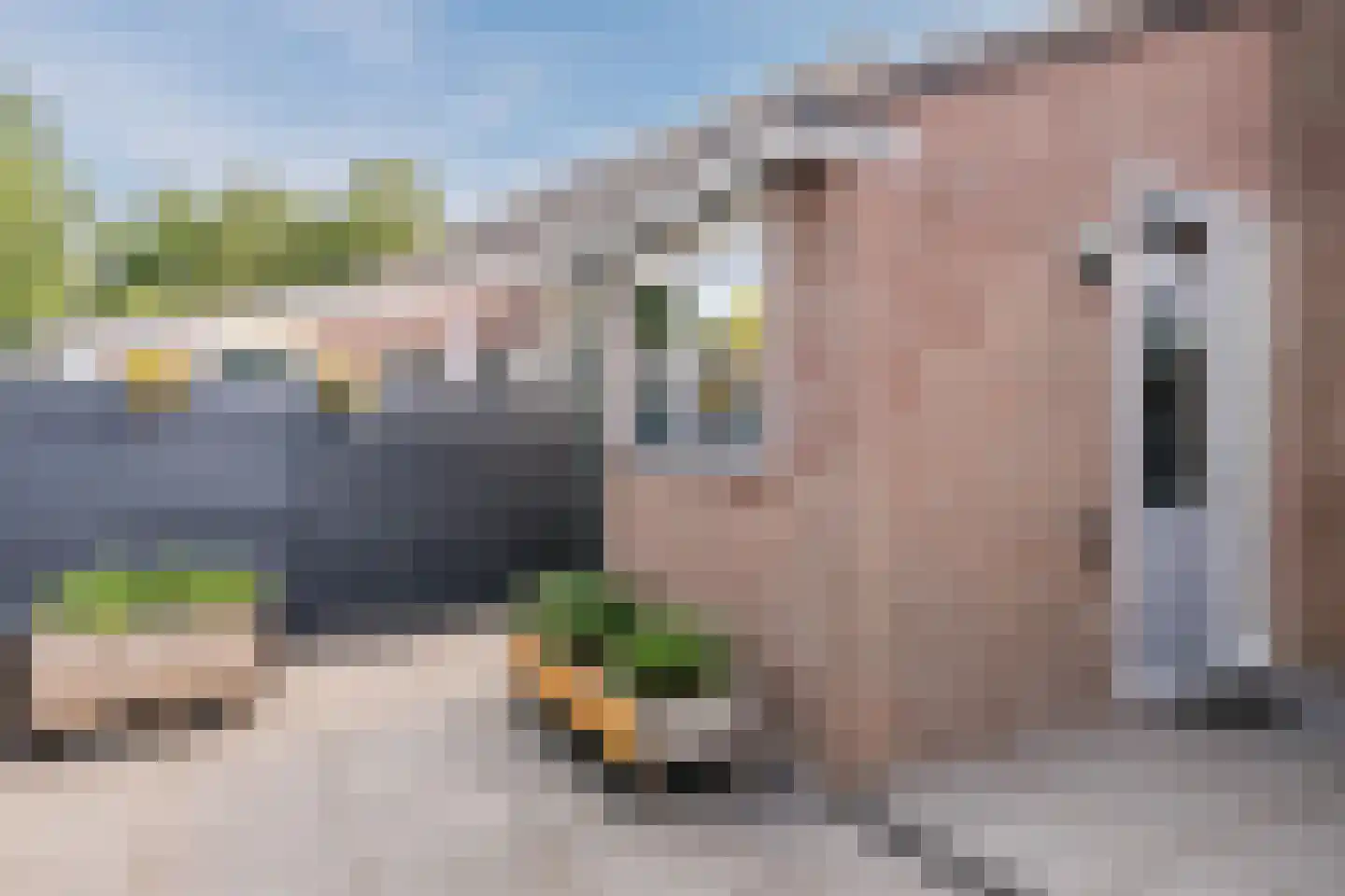 Tjatting 10 Hippolytushoef thumbnail 36