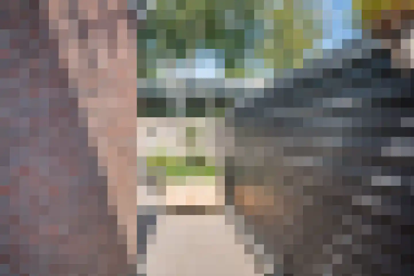 Tjatting 10 Hippolytushoef thumbnail 38