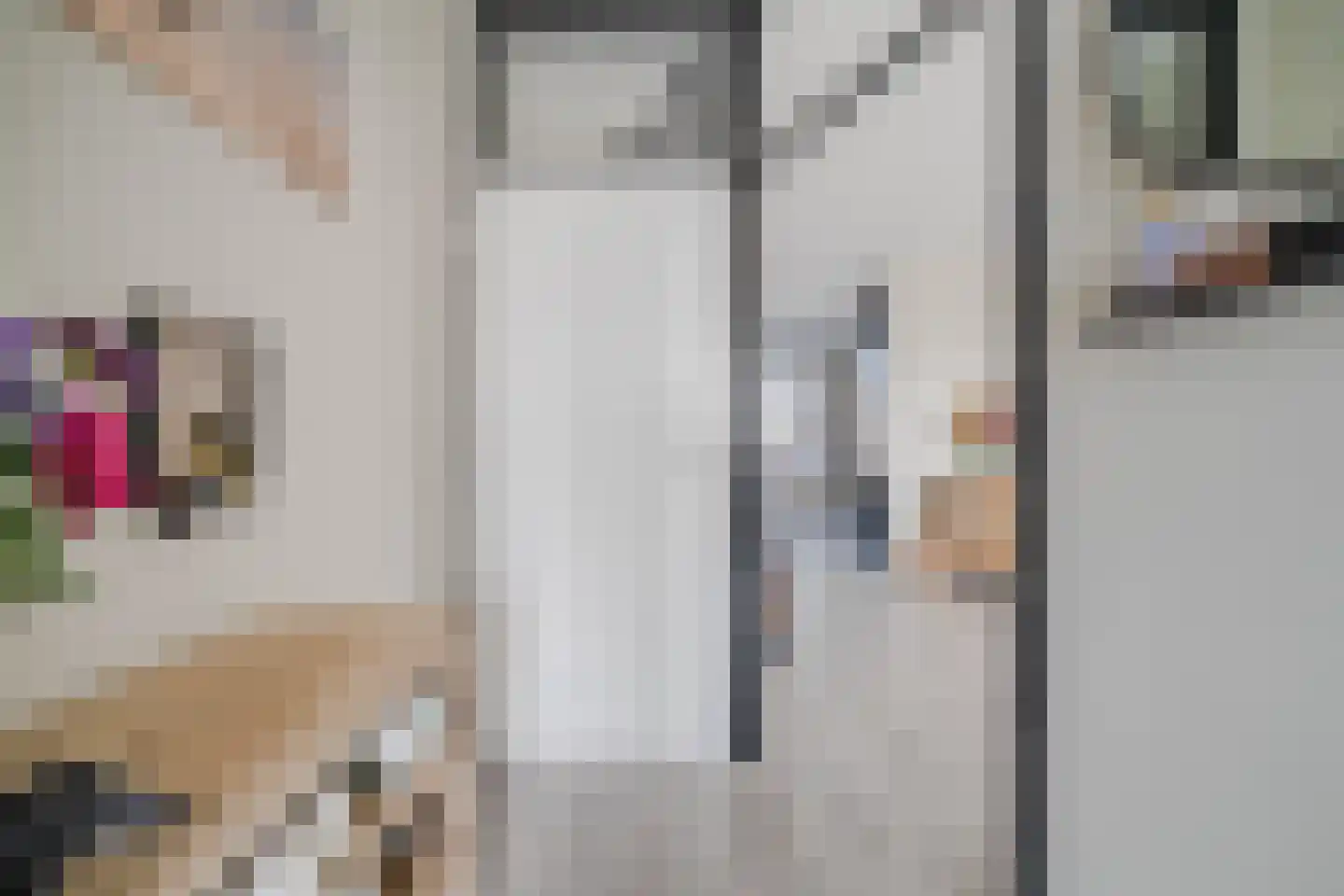 Tjatting 10 Hippolytushoef thumbnail 7