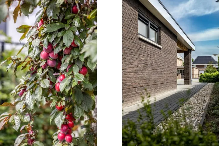 Tjeenk Willinkstraat 11 Deventer thumbnail 51