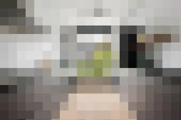 Tjeerd Kuipersstraat 42 Bergschenhoek thumbnail 13