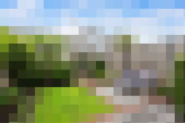 Tjeerd Kuipersstraat 42 Bergschenhoek thumbnail 17
