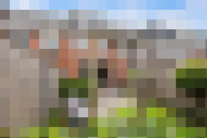 Tjeerd Kuipersstraat 42 Bergschenhoek thumbnail 18