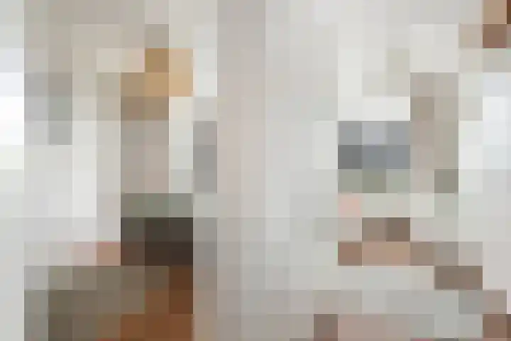 Tjeerd Kuipersstraat 42 Bergschenhoek thumbnail 23