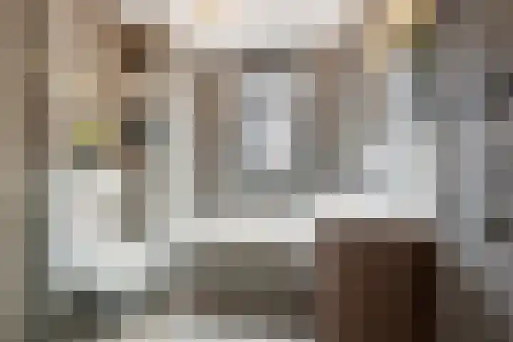 Tjeerd Kuipersstraat 42 Bergschenhoek thumbnail 26