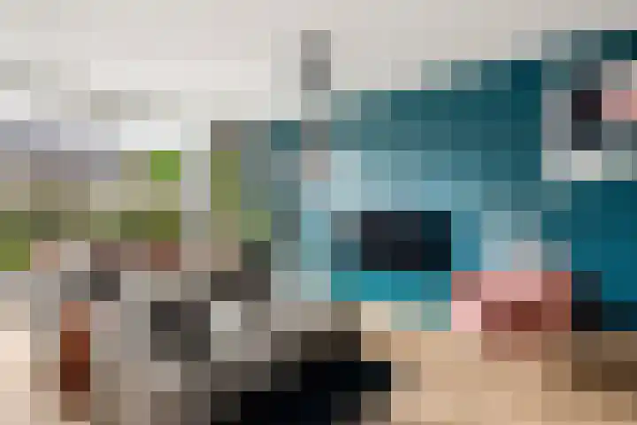 Tjeerd Kuipersstraat 42 Bergschenhoek thumbnail 8