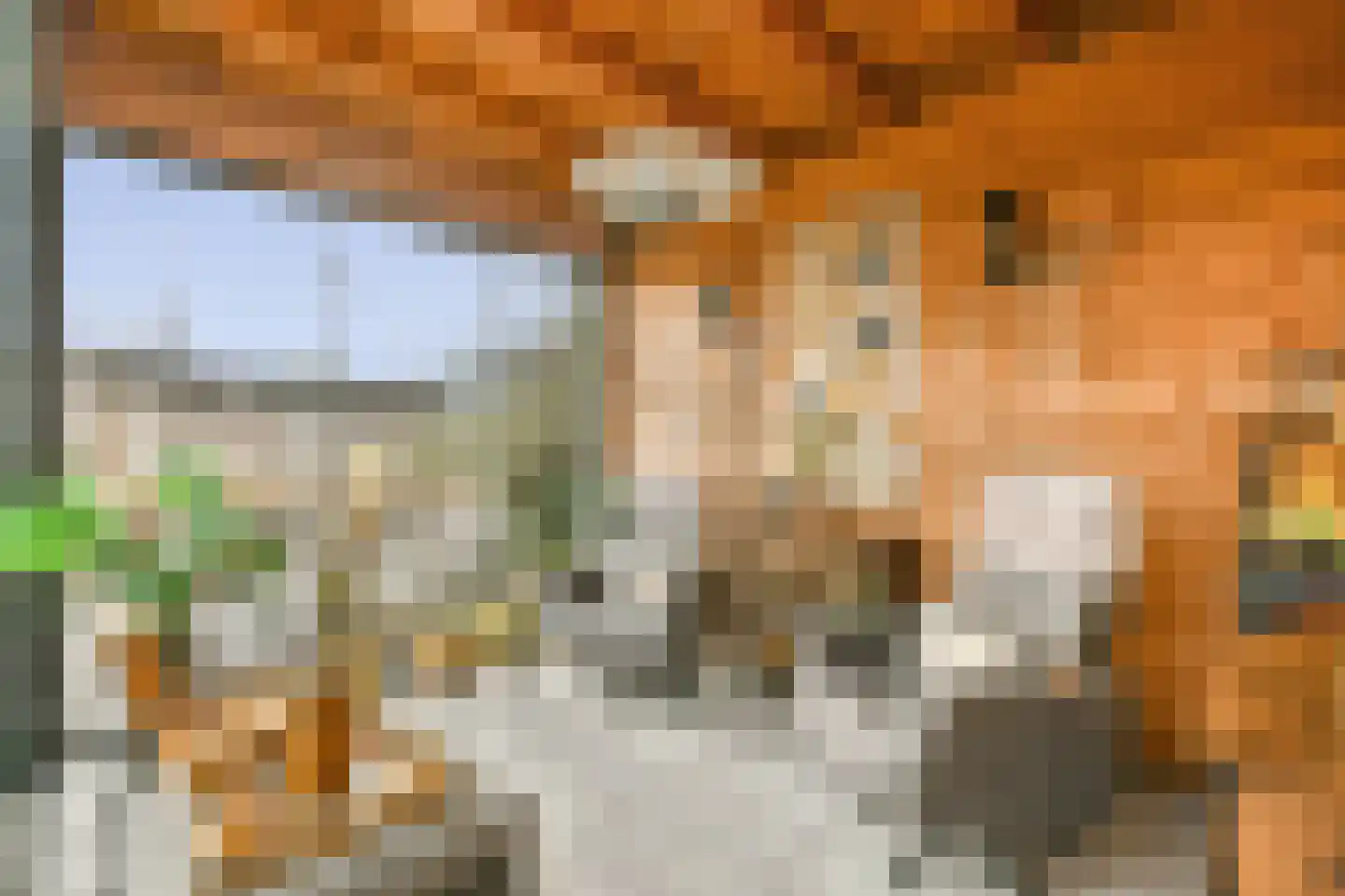 Tjeerd Kuipersstraat 47 Bergschenhoek thumbnail 11