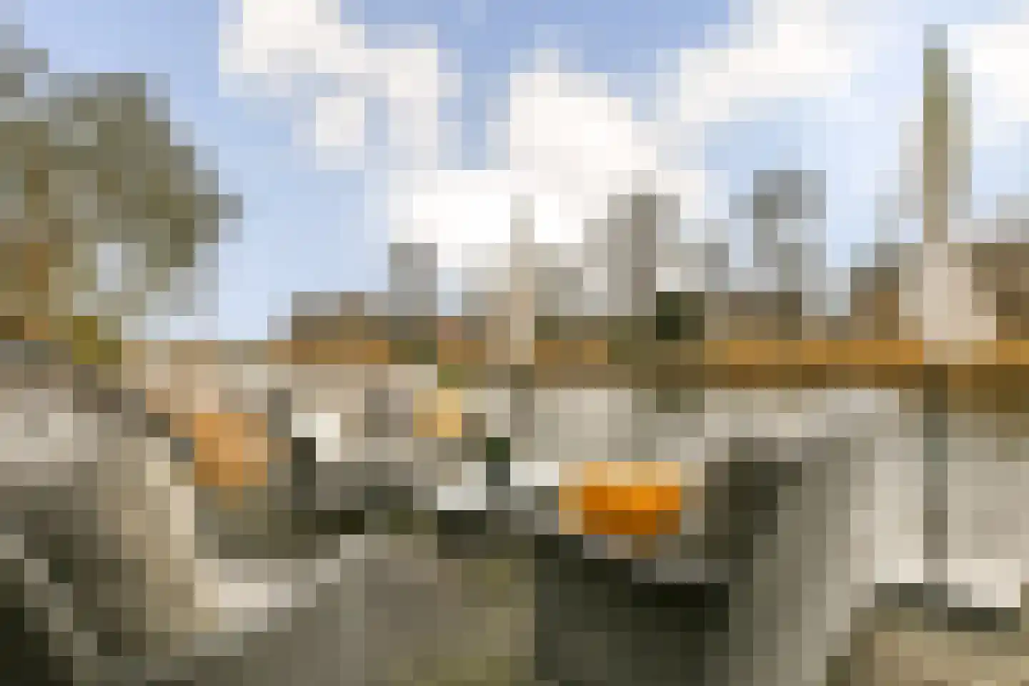 Tjeerd Kuipersstraat 47 Bergschenhoek thumbnail 14