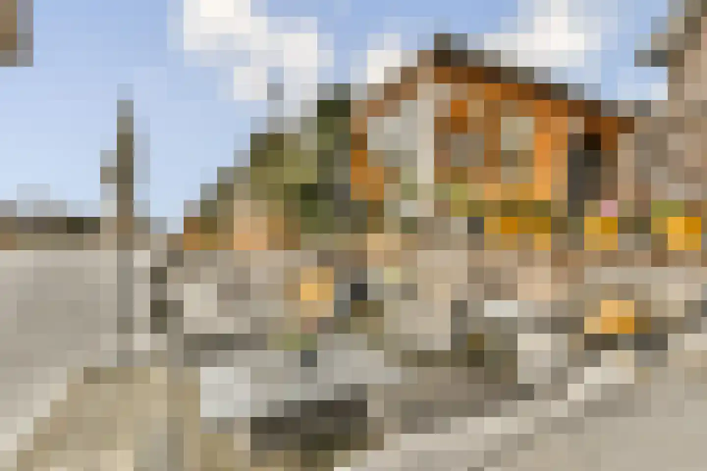 Tjeerd Kuipersstraat 47 Bergschenhoek thumbnail 15