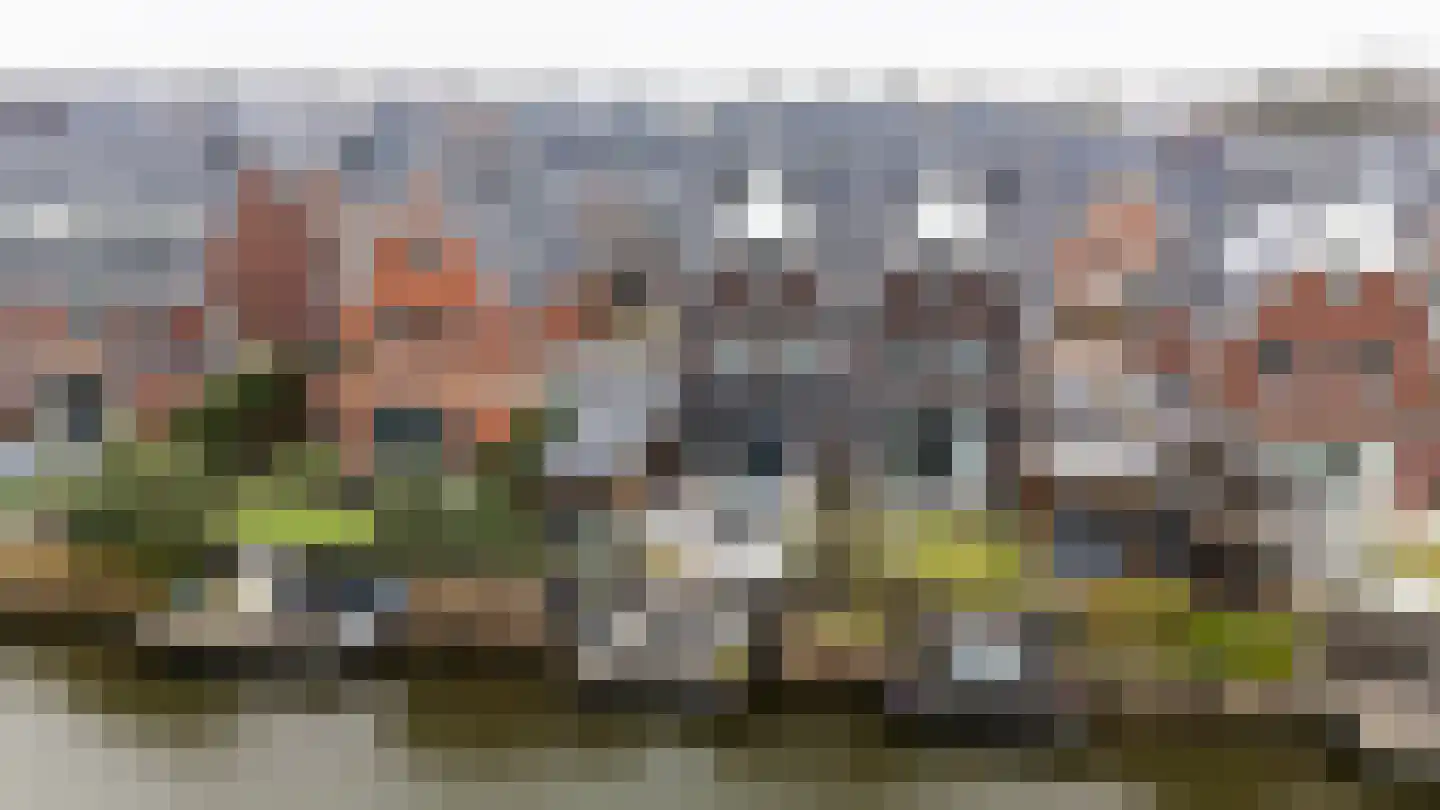 Tjeerd Kuipersstraat 47 Bergschenhoek thumbnail 16