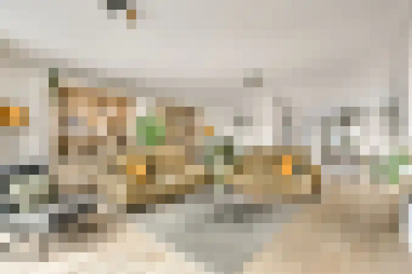 Tjeerd Kuipersstraat 47 Bergschenhoek thumbnail 18