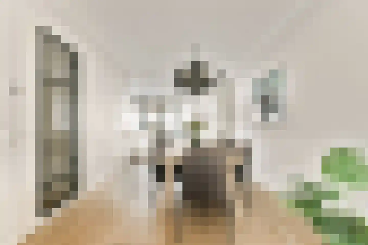 Tjeerd Kuipersstraat 47 Bergschenhoek thumbnail 19
