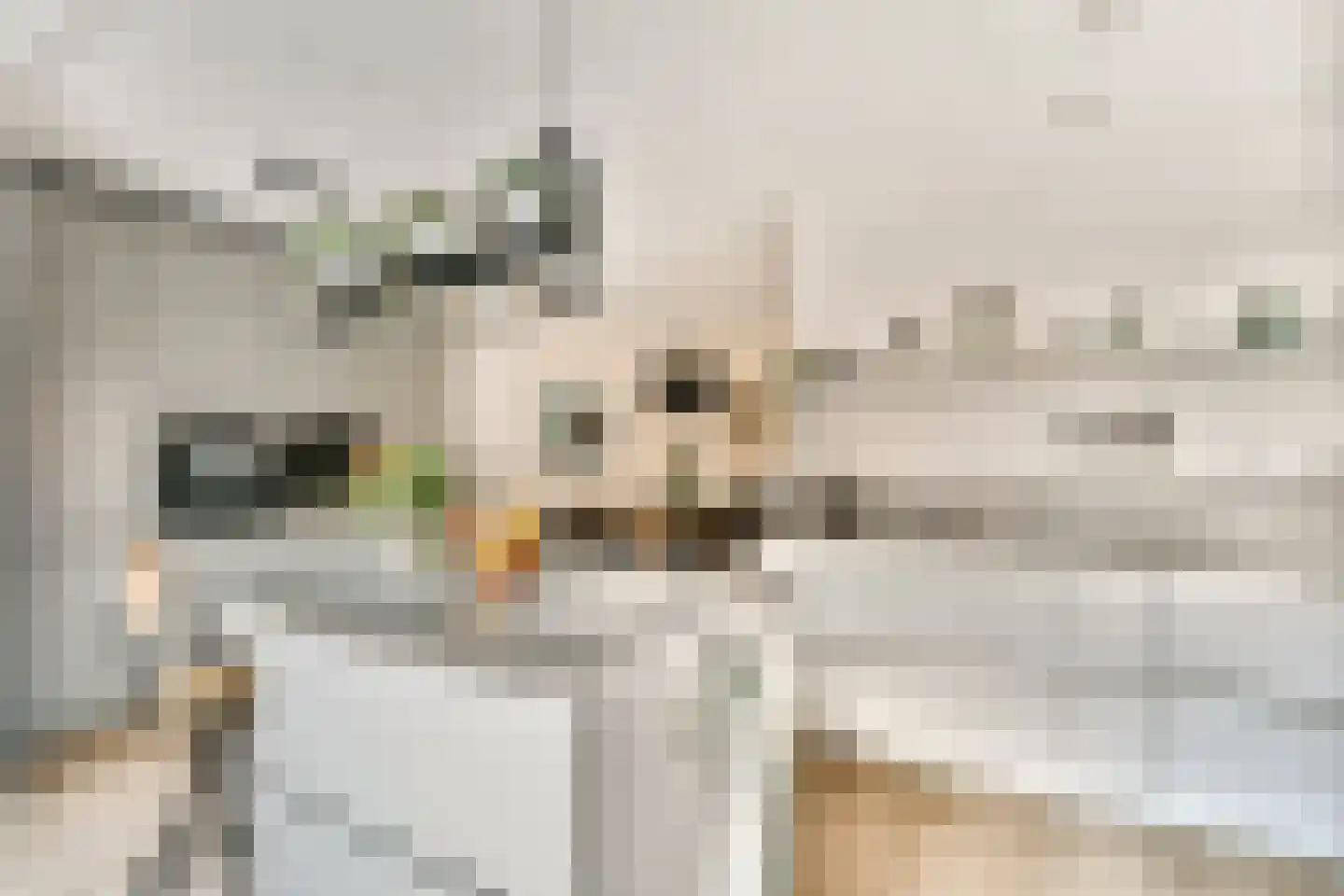 Tjeerd Kuipersstraat 47 Bergschenhoek thumbnail 23