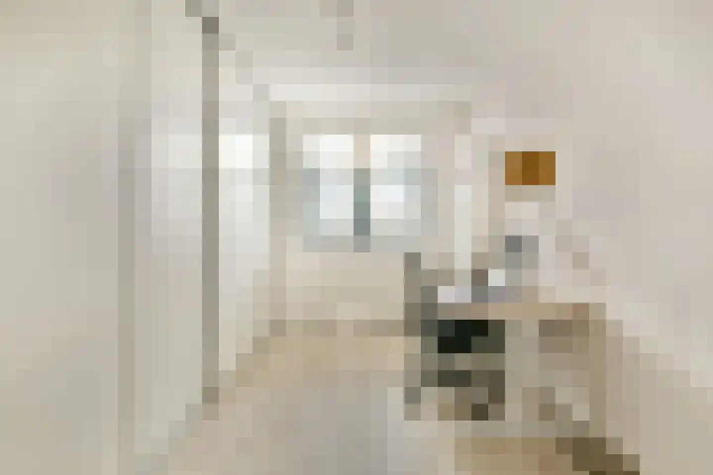 Tjeerd Kuipersstraat 47 Bergschenhoek thumbnail 29