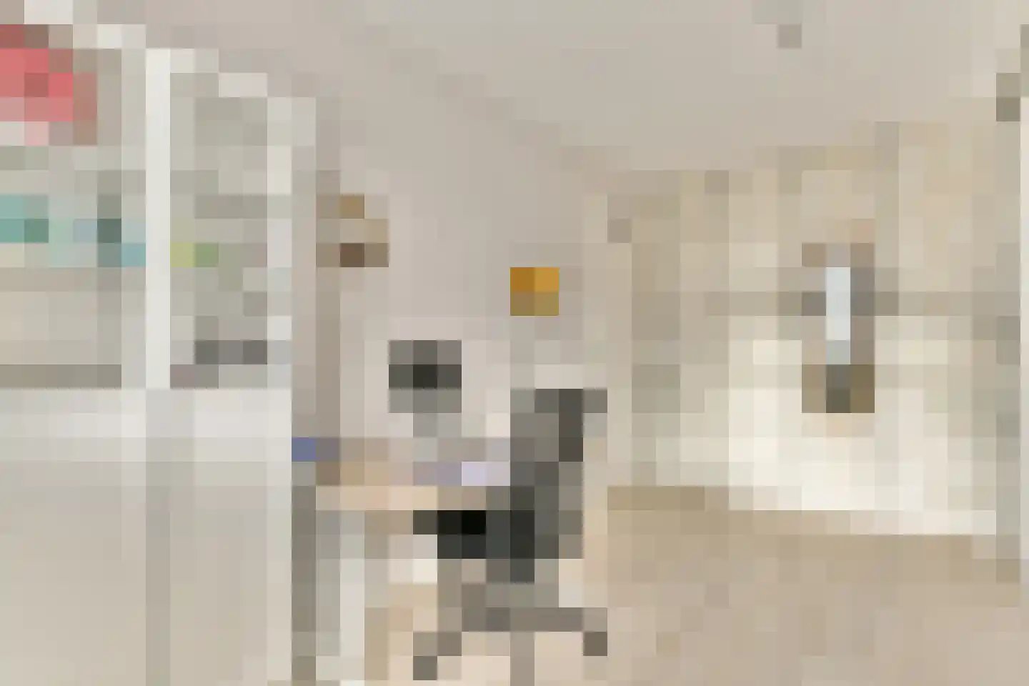 Tjeerd Kuipersstraat 47 Bergschenhoek thumbnail 30