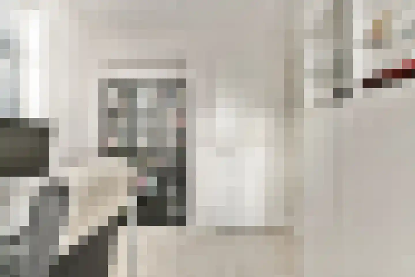 Tjeerd Kuipersstraat 47 Bergschenhoek thumbnail 32