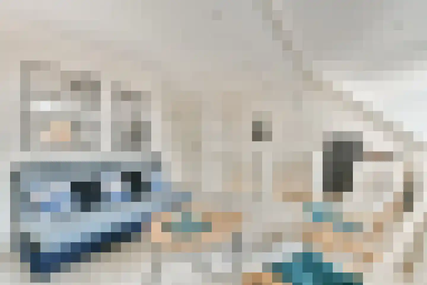Tjeerd Kuipersstraat 47 Bergschenhoek thumbnail 35