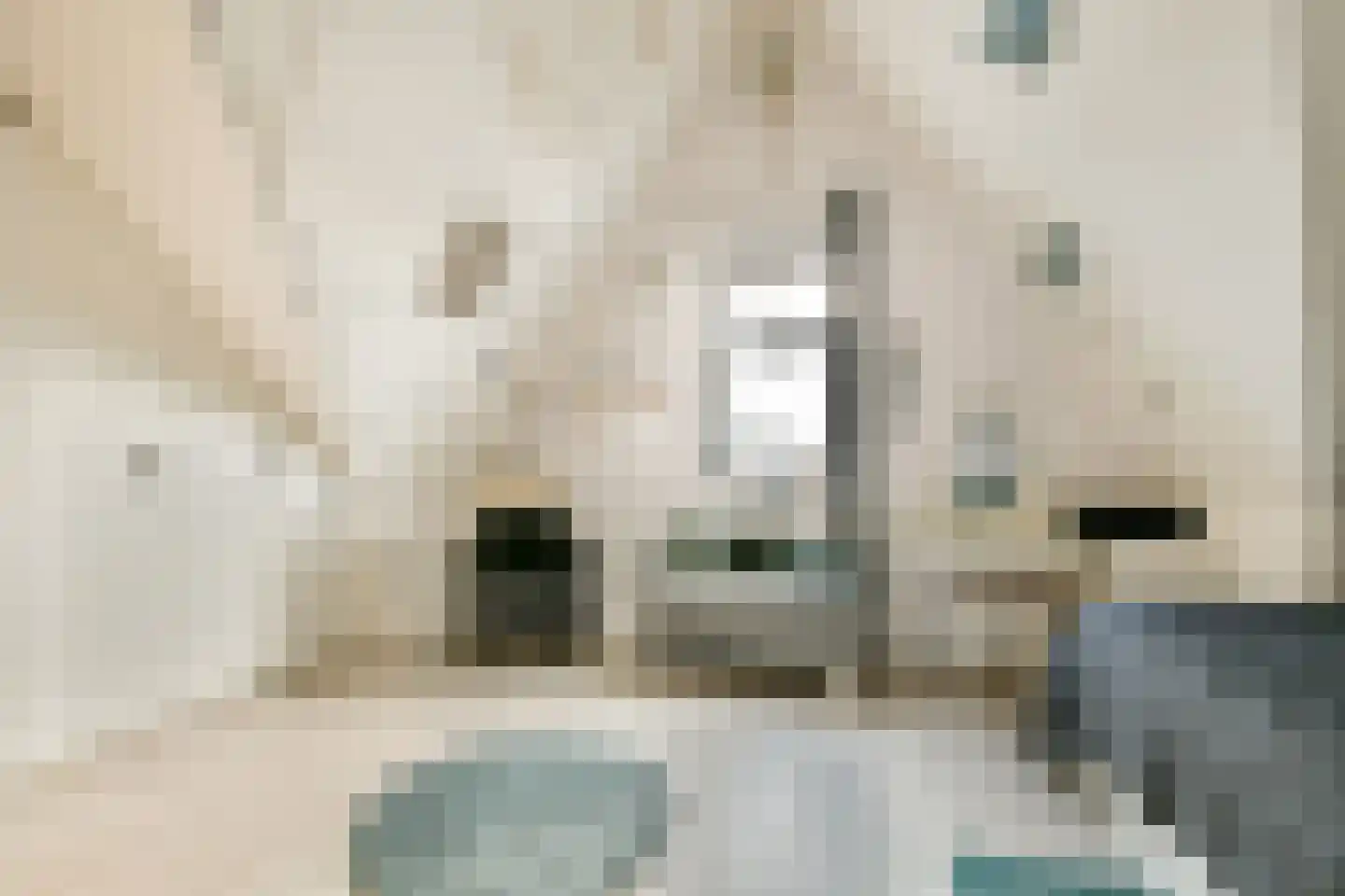 Tjeerd Kuipersstraat 47 Bergschenhoek thumbnail 36