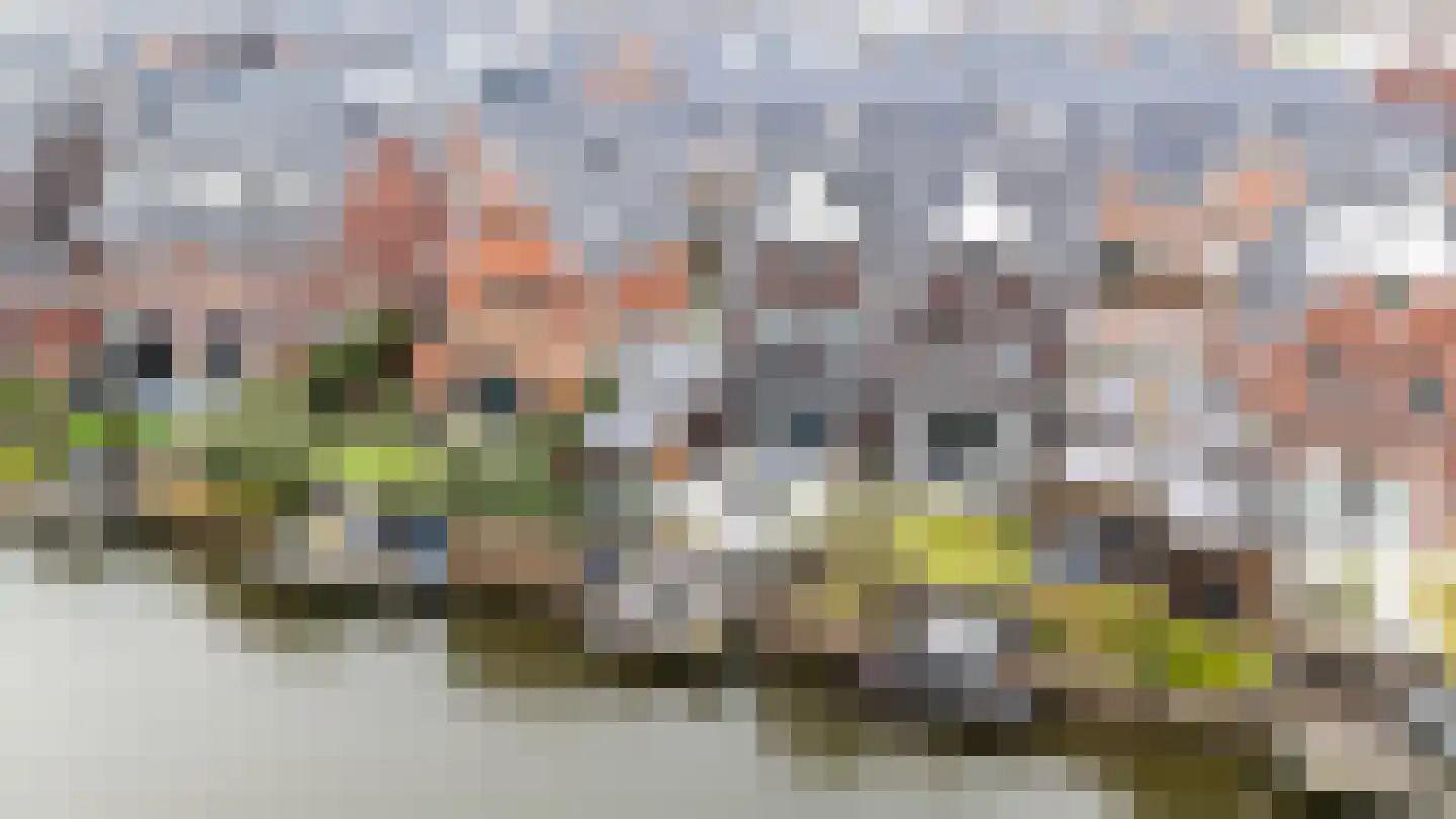 Tjeerd Kuipersstraat 47 Bergschenhoek thumbnail 39