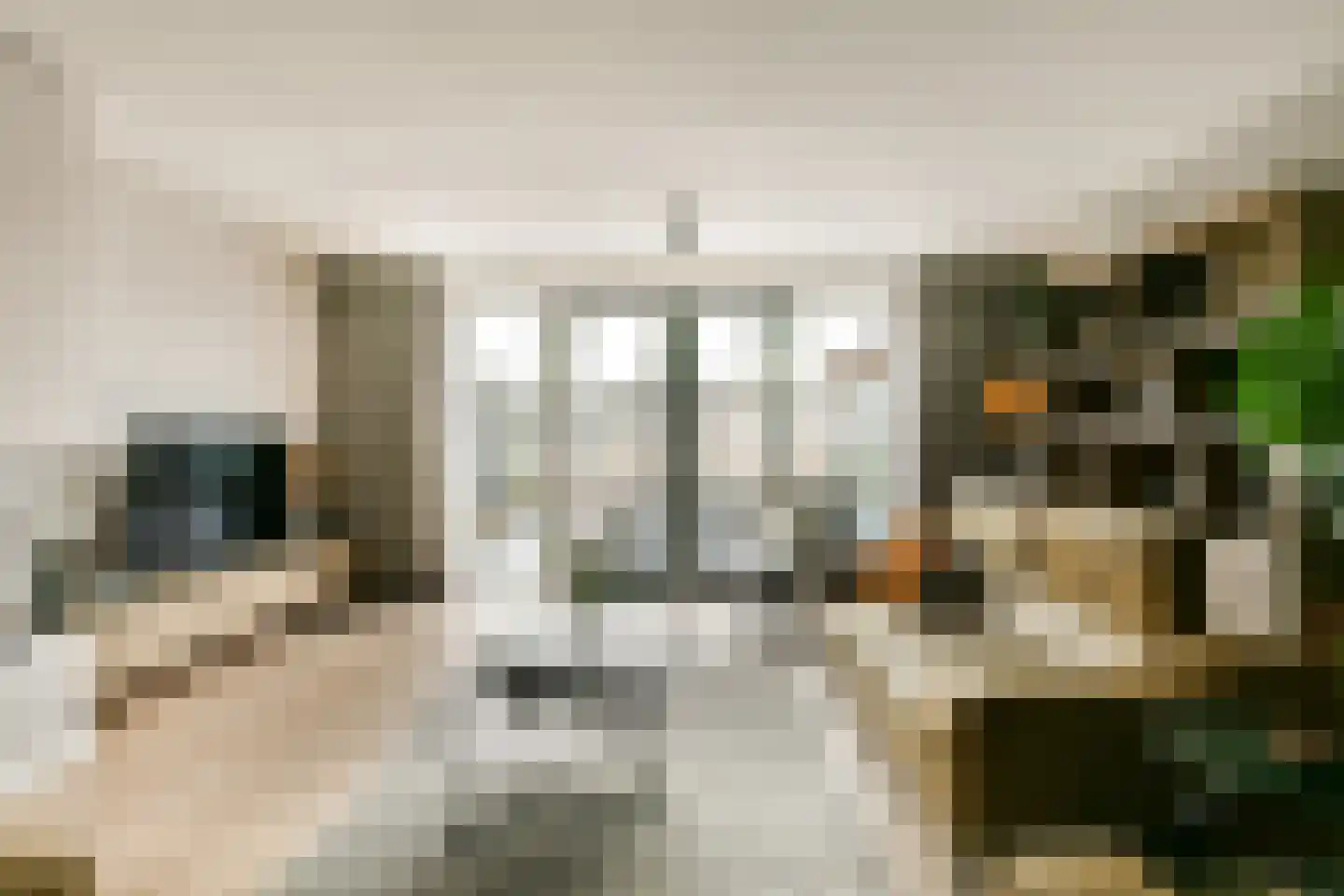 Tjeerd Kuipersstraat 47 Bergschenhoek thumbnail 6