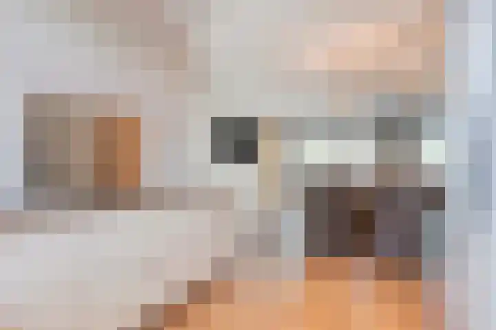 Tjeerd Kuipersstraat 60 Bergschenhoek thumbnail 11