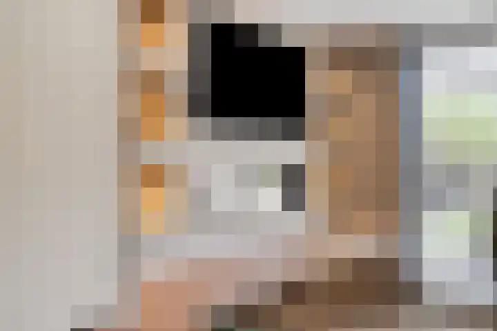 Tjeerd Kuipersstraat 60 Bergschenhoek thumbnail 12