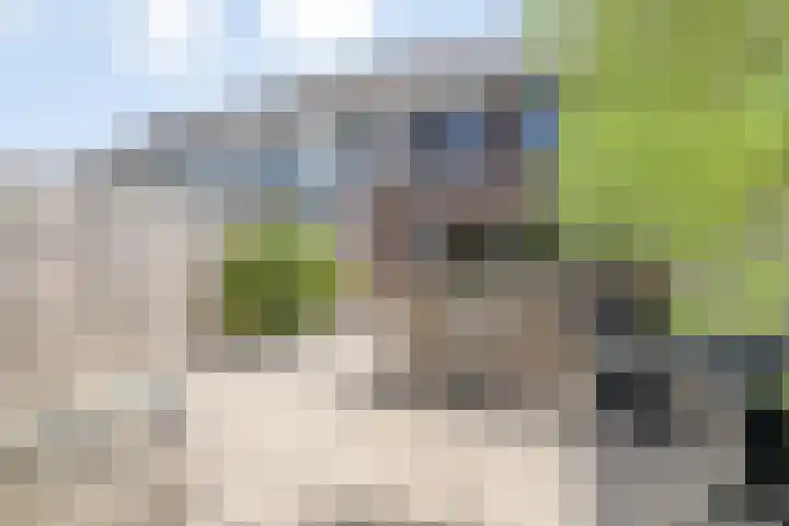 Tjeerd Kuipersstraat 60 Bergschenhoek thumbnail 17